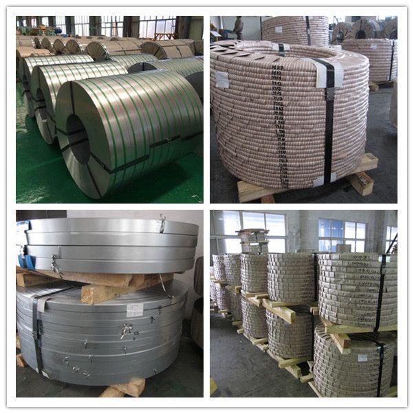 zinc coating steel coil galvanized steel  coil