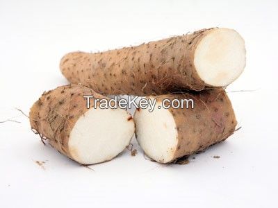 Yam Powder