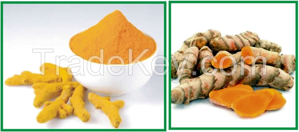 Turmeric Spice