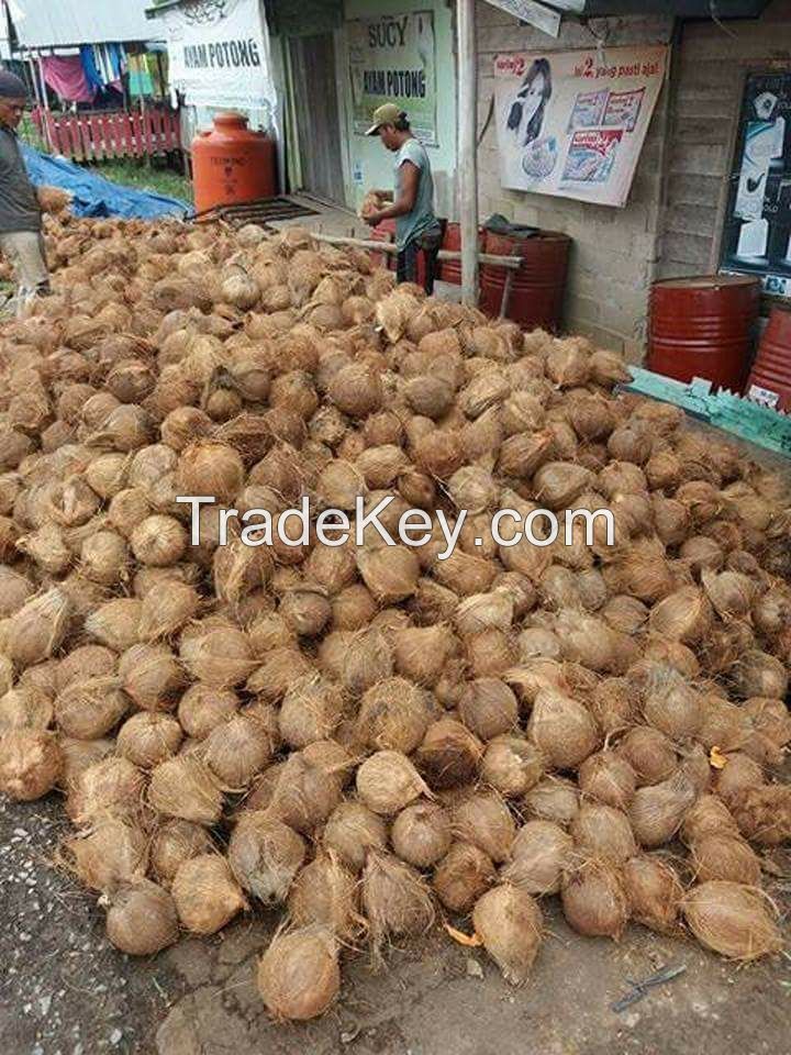 Dried Coconut and Other Coconut Products