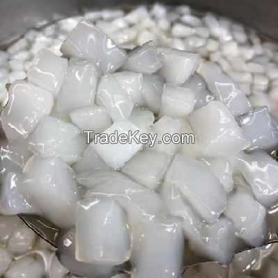 Coconut Jelly/ Nata de coco