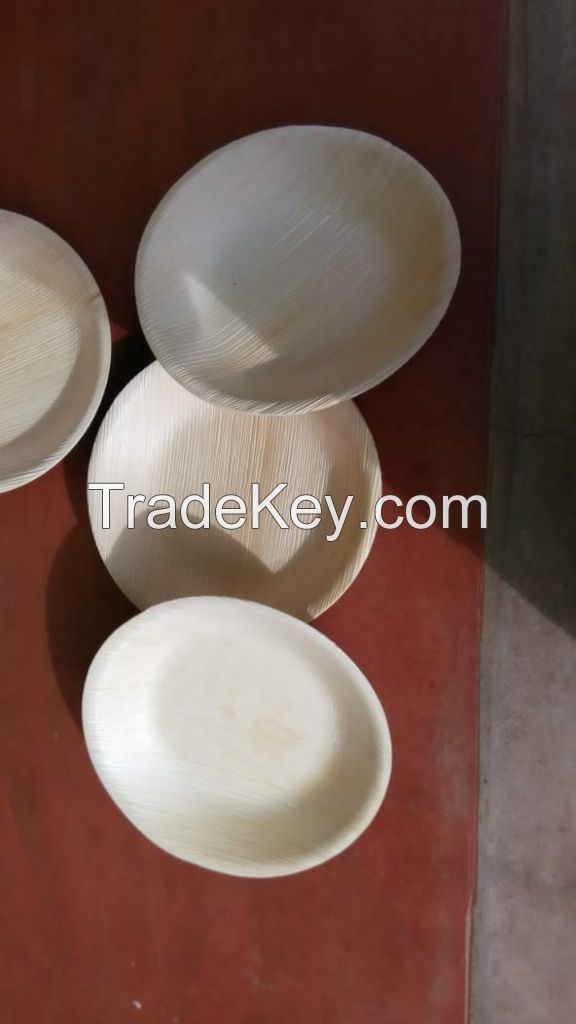 Areca Leaf Plates