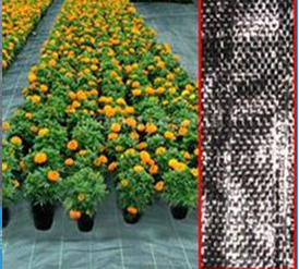 Agricultural Weed Mat/Landscape Fabric, PP /PE weed mat,PP Ground cover