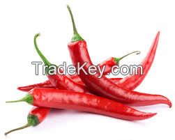 Red Chili