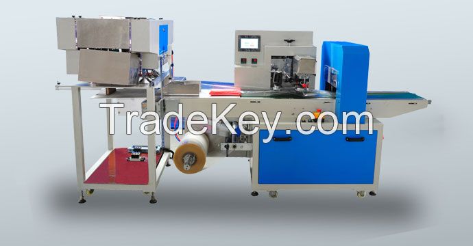 Paper Straw Packing Machine