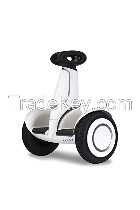 Segway Electric Scooter