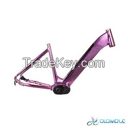 28 BAFANG E-BIKE FRAME