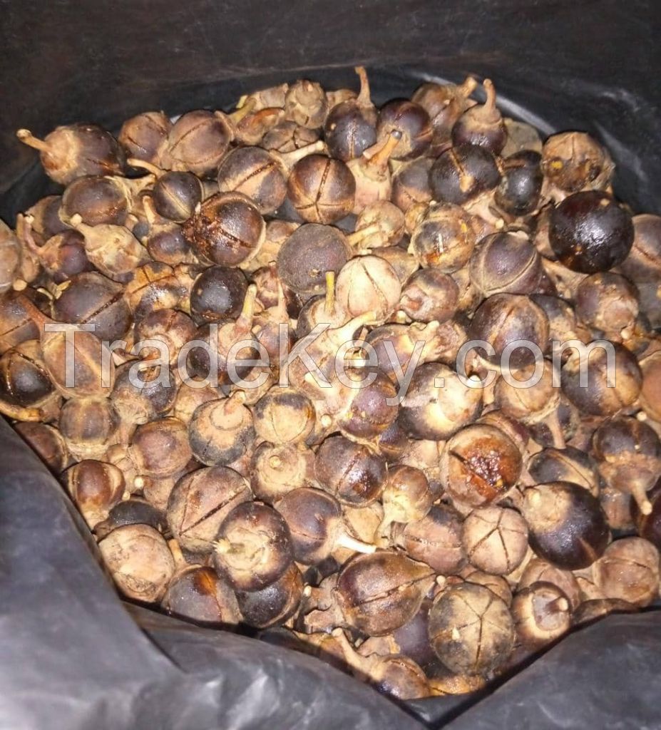 beans, gorontula, maize, dried fish, palm kernel, 