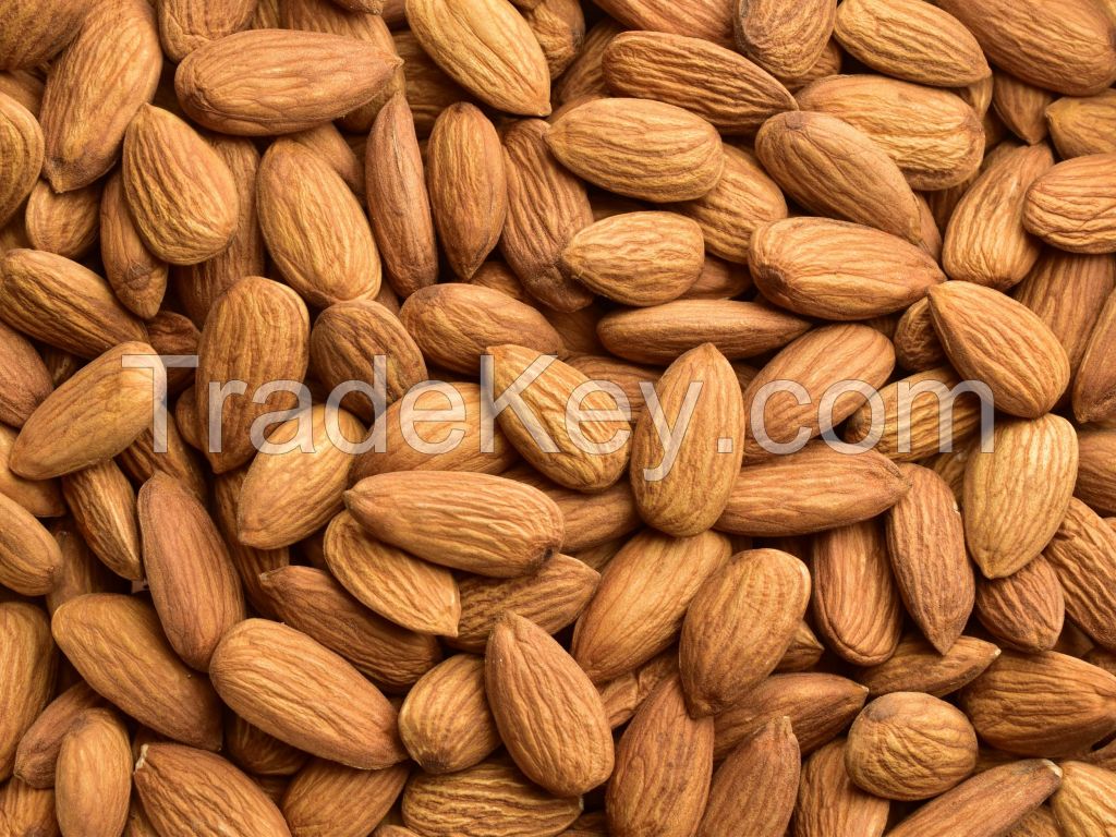 High Quality Almonds