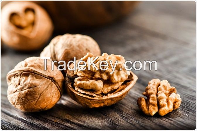 High Quality WALNUT