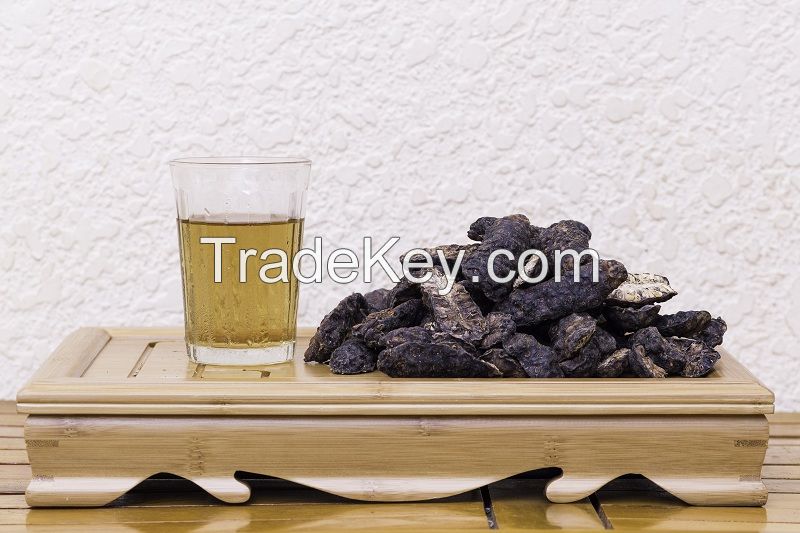 FRESH NONI FRUIT / DRIED NONI FRUIT