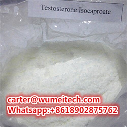 Testosterone isocaproate