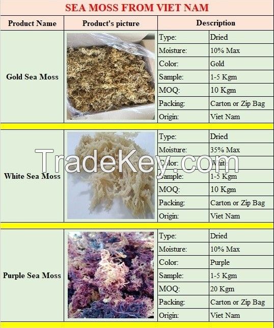 DRIED SEA MOSS/ 100% NATURAL SEA MOSS FROM VIETNAM WITH COMPETITIVE PRICE