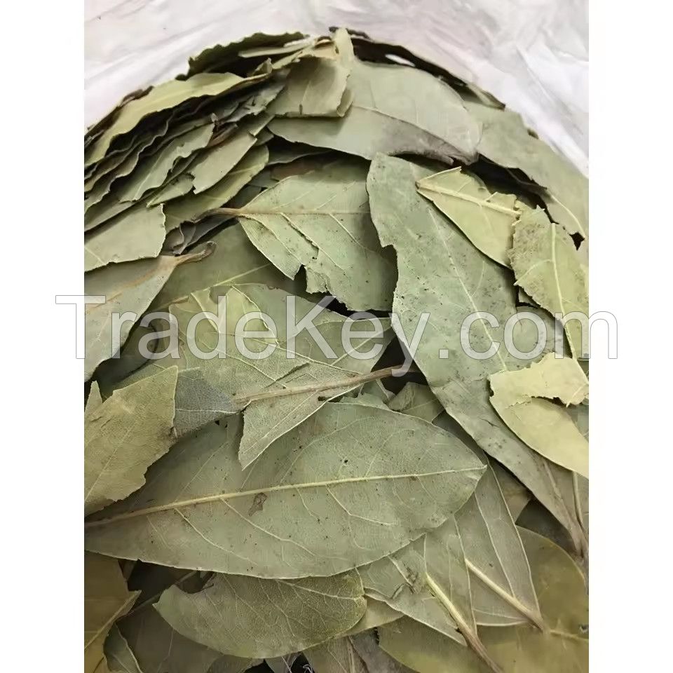 Dried Bay Leaves For Spices And Herbs Are Sold At Good Prices From Vietnam