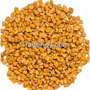 ORGANIC TAMARIND SEEDS / TRADITIONAL AND HEALTHY / MADE IN VIETNAM