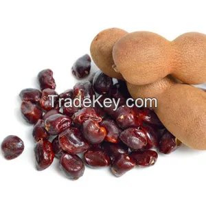 ORGANIC TAMARIND SEEDS / TRADITIONAL AND HEALTHY / MADE IN VIETNAM