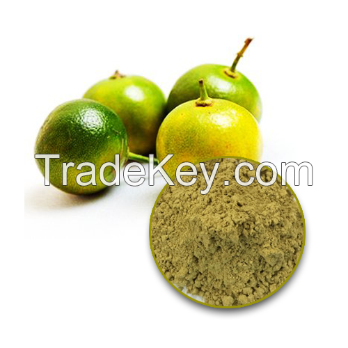 TOP-GRADE CALAMANSI POWDER / VIBRANT CITRUS FLAVOR / BEST PRICES / MADE IN VIETNAM