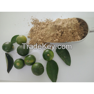 TOP-GRADE CALAMANSI POWDER / VIBRANT CITRUS FLAVOR / BEST PRICES / MADE IN VIETNAM