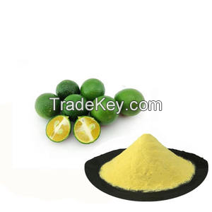 TOP-GRADE CALAMANSI POWDER / VIBRANT CITRUS FLAVOR / BEST PRICES / MADE IN VIETNAM