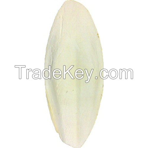 ORGANIC CUTTLEFISH BONE / SAFE FOR PETS & BIRDS / MADE IN VIETNAM