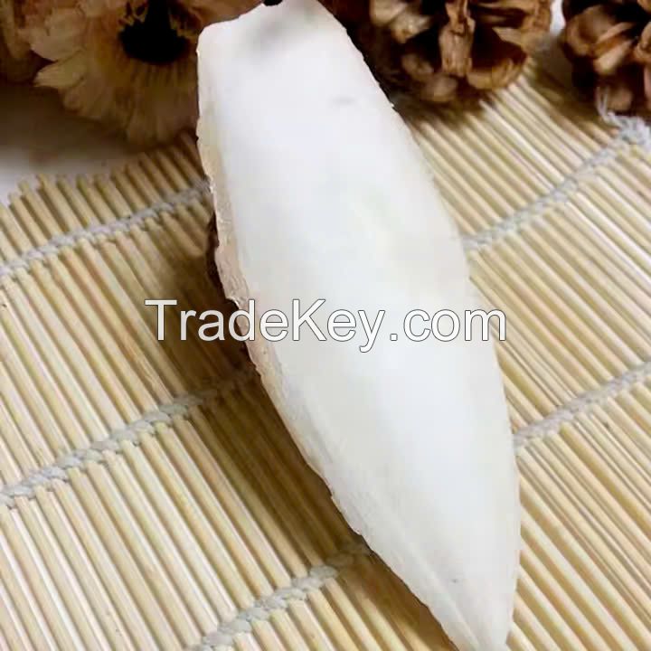 ORGANIC CUTTLEFISH BONE / SAFE FOR PETS & BIRDS / MADE IN VIETNAM