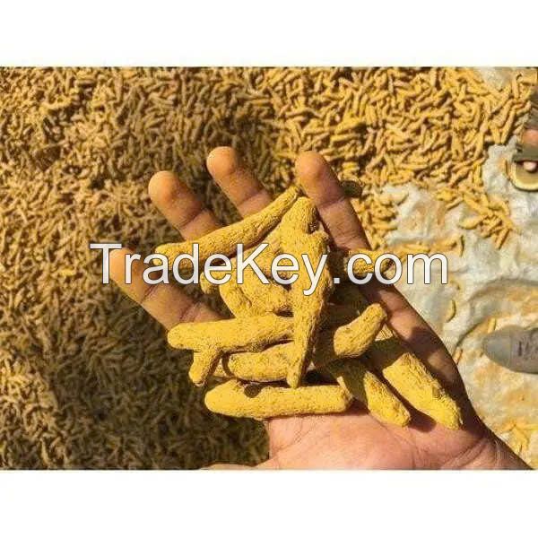 PURE TURMERIC FINGER / PERFECT FOR COOKING AND WELLNESS / MADE IN VIETNAM