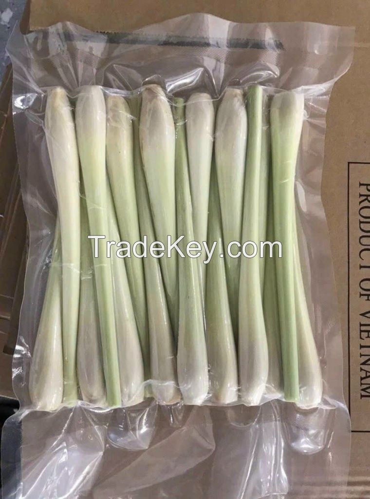 AROMATIC FROZEN LEMONGRASS / IMMUNITY &amp; DETOX / CLEAN &amp; GREEN / NO ADDITIVES