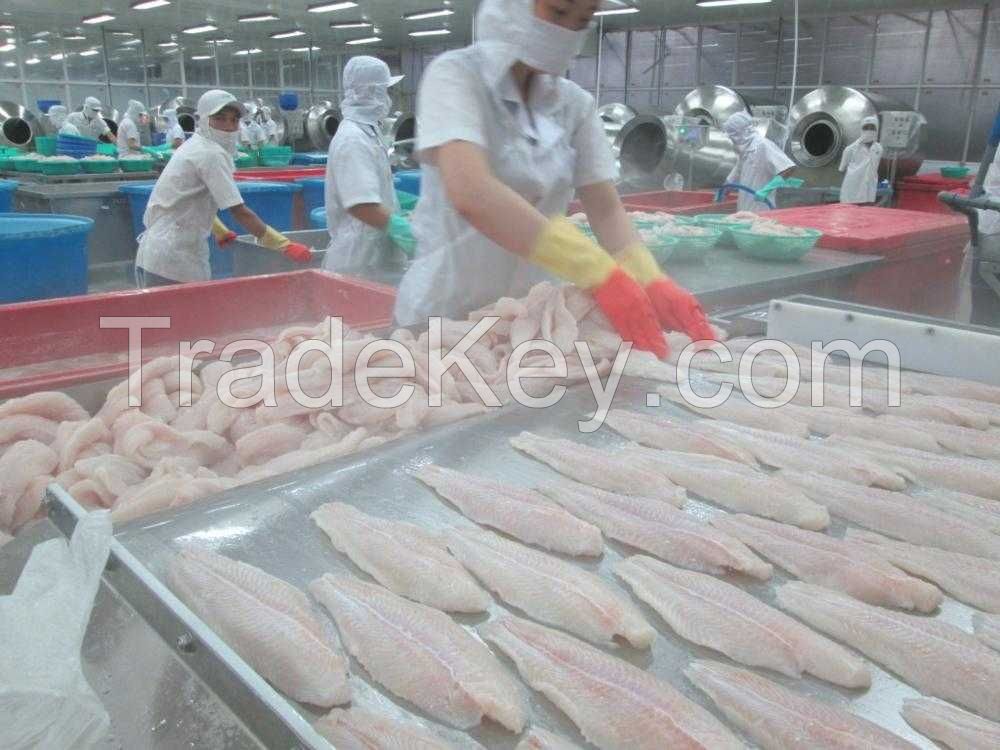 AUTHENTIC PANGASIUS FILLET / ENERGY SUPPORT / CLEAN LABEL / HIGH-PROTEIN