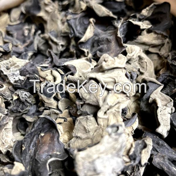 WOOD EAR MUSHROOM / CLEAN LABEL / PLANT-BASED / NATURALLY DRIED