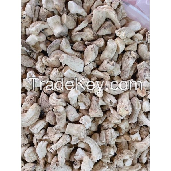 AUTHENTIC SHIITAKE STEM / METABOLIC SUPPORT / CLEAN LABEL / PLANT-BASED