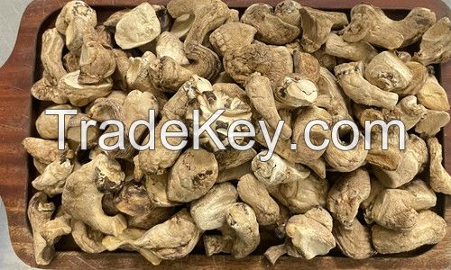 AUTHENTIC SHIITAKE STEM / METABOLIC SUPPORT / CLEAN LABEL / PLANT-BASED