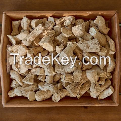 AUTHENTIC SHIITAKE STEM / METABOLIC SUPPORT / CLEAN LABEL / PLANT-BASED