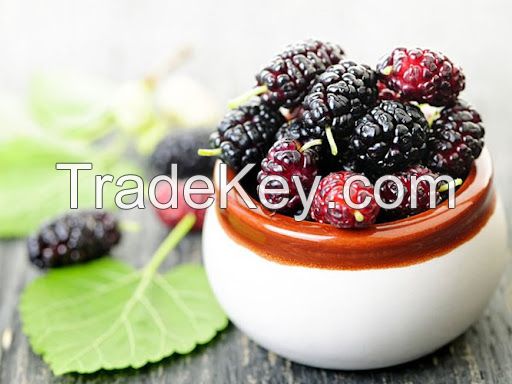 AUTHENTIC DRIED MULBERRIES / VITAMIN-RICH / CLEAN LABEL / PLANT-BASED