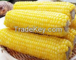 FROZEN SWEET CORN / CLEAN LABEL / PLANT-BASED / READY TO COOK