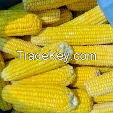 FROZEN SWEET CORN / CLEAN LABEL / PLANT-BASED / READY TO COOK