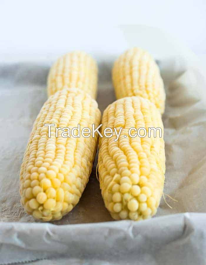 FROZEN SWEET CORN / CLEAN LABEL / PLANT-BASED / READY TO COOK