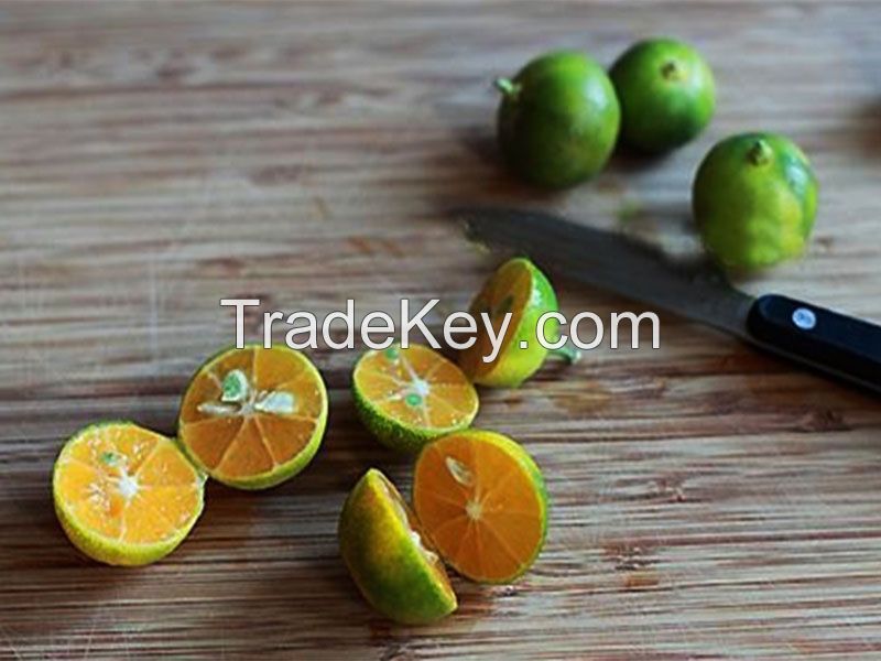 NATURAL CALAMANSI PUREE / IMMUNITY BOOST / CLEAN LABEL / ANTIOXIDANT-RICH