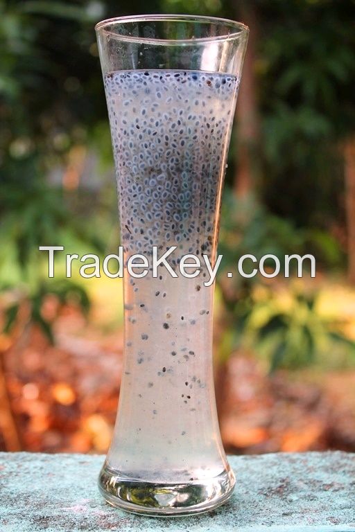 BASIL SEED DRINKS PRODUCTS / FUNCTIONAL BEVERAGE / ANTIOXIDANT-RICH / IMMUNITY BOOST