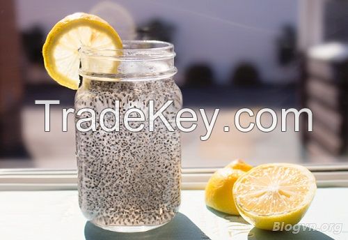 BASIL FRESH BOOST / NATURAL / IMMUNITY SUPPORT / CLEAN LABEL