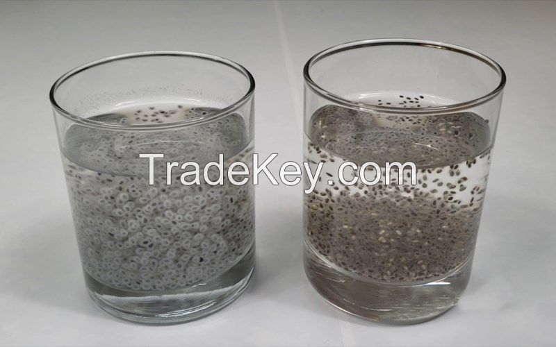 BASIL SEED DRINKS / SUPERFOOD INFUSION / IMMUNE SUPPORT / PLANT-BASED