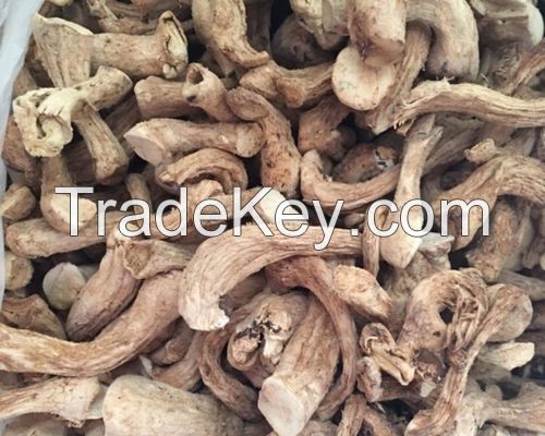 100% ORGANIC DRIED SHIITAKE / ANTIOXIDANT-RICH / VEGAN FRIENDLY / NO ADDITIVES