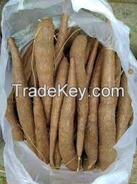 CATAPPA-ENHANCED FROZEN CASSAVA FOR DAILY WELLNESS
