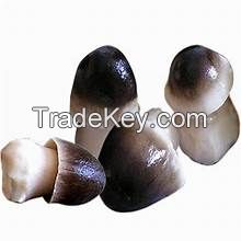 NATURAL CANNED STRAW MUSHROOM SLICED FOR HEALTHY COOKING IMMUNE SUPPORT CLEAN LABEL VEGAN FRIENDLY