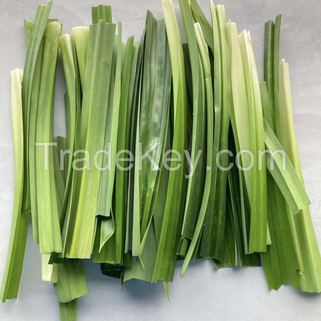 100% NATURAL PANDAN LEAVES DRIED AND CLEANED FROM VIETNAM WITH HIGH QUALITY