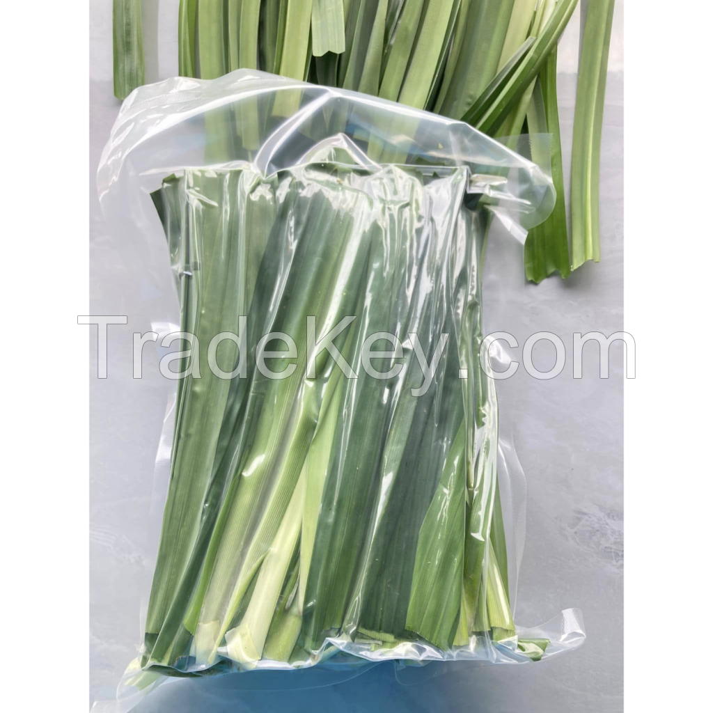 100% NATURAL PANDAN LEAVES DRIED AND CLEANED FROM VIETNAM WITH HIGH QUALITY