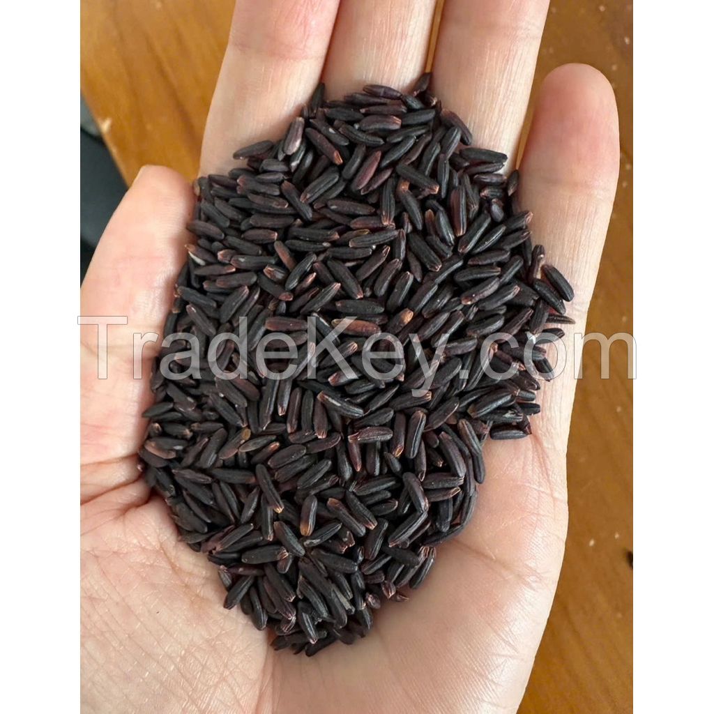 WHOLESALE GLUTINOUS RICE PURE STICKY RICE EXPORT GRADE COMPETITIVE PRICE