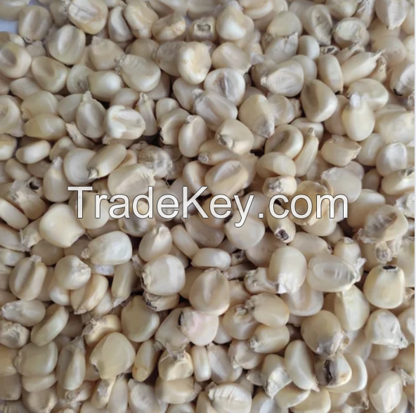 ALL NATURAL DRIED YELLOW SWEET CORN KERNELS PREMIUM GRADE CLEAN LABEL NON GMO