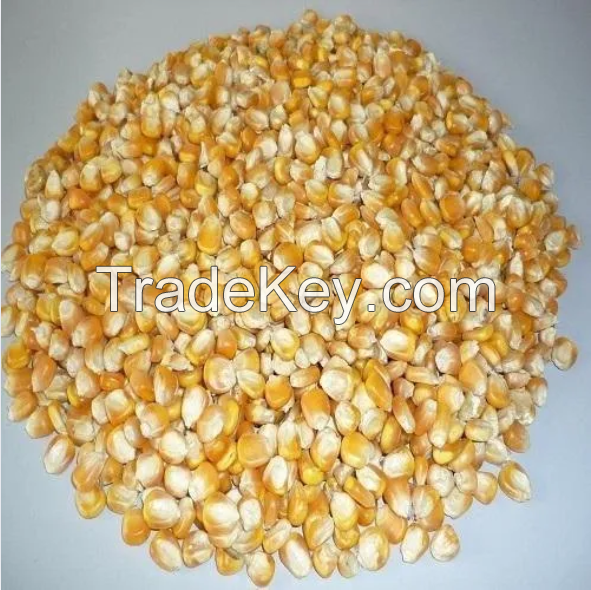 ALL NATURAL DRIED YELLOW SWEET CORN KERNELS PREMIUM GRADE CLEAN LABEL NON GMO