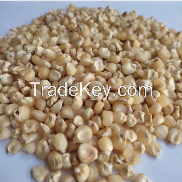ALL NATURAL DRIED YELLOW SWEET CORN KERNELS PREMIUM GRADE CLEAN LABEL NON GMO