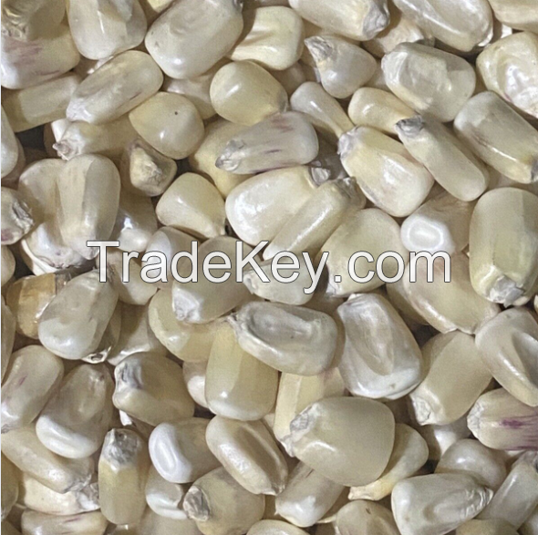 ALL NATURAL DRIED YELLOW SWEET CORN KERNELS PREMIUM GRADE CLEAN LABEL NON GMO